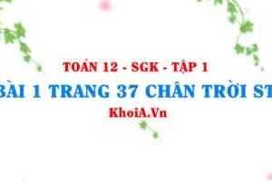 Bài 1 trang 37 Toán 12 Tập 1 Chân trời sáng tạo
